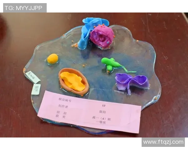 创意手工制作足球明星黏土模型的乐趣与技巧分享